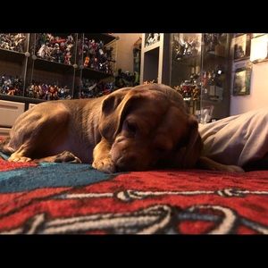 Meet your Posher, Michael